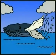 Diego Saves Baby Humpback Whale Wrong Answer 4