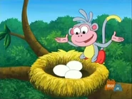 There are eggs in the nest!