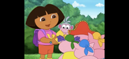 Dora explains to them that the crown is for Mariana the mermaid.