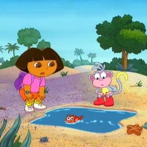 Fish Out Of Water Dora The Explorer Wiki Fandom