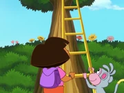 Vlcsnap-2021-10-22-21h19m04s935