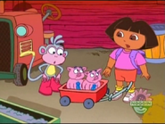 (pigs oinking in fear)