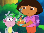 "DORA!" Swiper called.