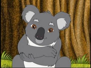 Koala's Birthday Hug, Dora the Explorer Wiki