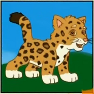 A jaguar with black spots