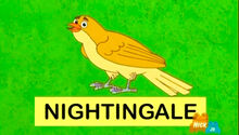 Nigh