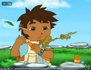 Oh, no! the pygmy marmosets are blown away by the wind.