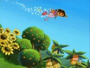 "And an orange tree!"