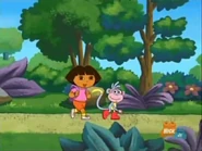 Let’s look for a bird’s nest.