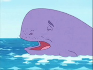 AAAAAAH…