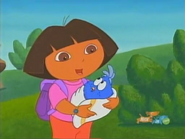 "Tree! Árbol! She must live in a tree!"