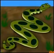 An anaconda slithering and sliding