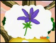 This purple flower is the Tree Frogs' Mother’s Day present.