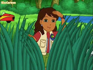 Go diego go alicia 324432