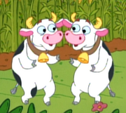 The Cows