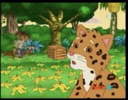 Diego asks Baby Jaguar what was going on.