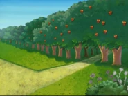 The Nutty Forest's first appearance in Wizzle Wishes.