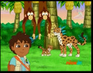 "See you later, Diego!" said Baby Jaguar.