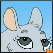 Chinta The Baby Chinchilla Right Answer 3