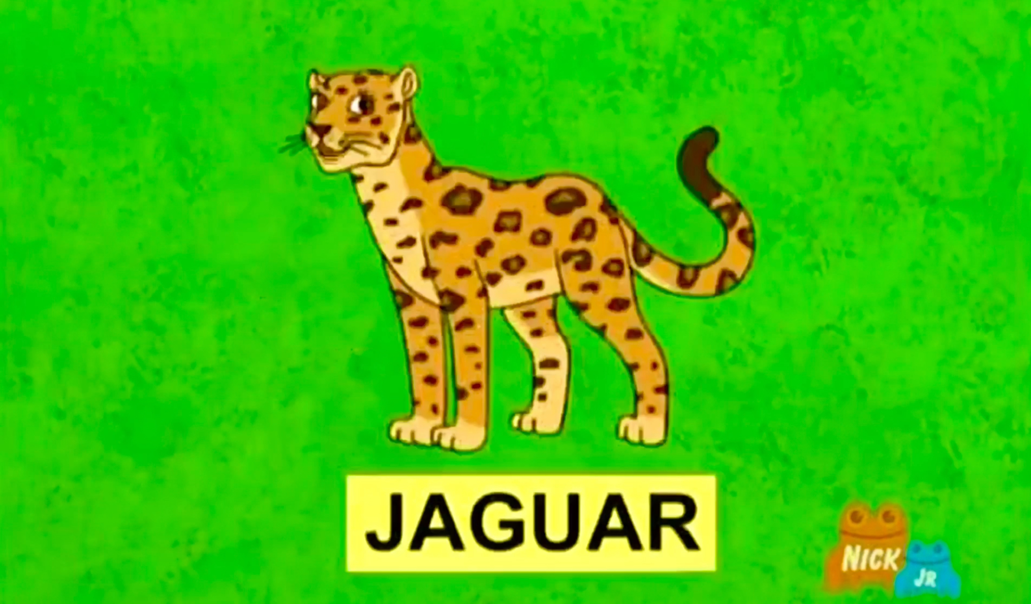 dora the explorer baby jaguar