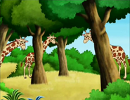 What animals are those?