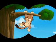 Look! Baby Jaguar is stuck in the tree! (He's in trouble again!)