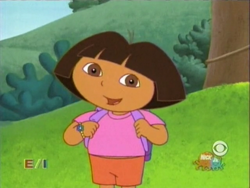 dora the explorer beaches livedash