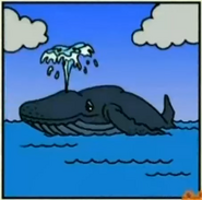 Do humpback whales spray water out of their blowholes?