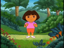 Dora and backpack shop