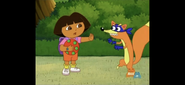 Swiper,