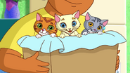 Dora Explores w Kittens! 😻 EPISODE Dora's Moonlight Adventure Dora & Friends 1-17 screenshot