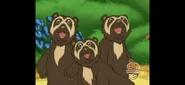 (all cheering)