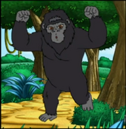 Can gorillas stand on one foot?