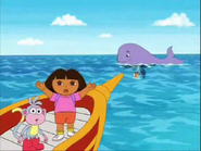 A WHALE!