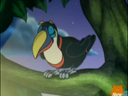 Toucan