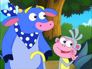"I think he's a Pirate Pig."