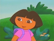 Then Dora tells him they should be there soon.
