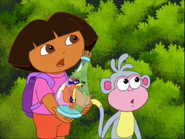 Dora explains the situation about fancy clothes…