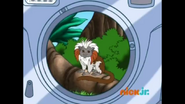 NO! That's a Cotton-Top Tamarin. (Is that Cottontop?)