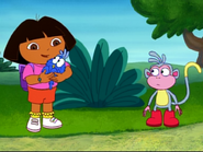 Dora thinks she has something in her Backpack to dry her off.