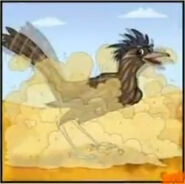 A roadrunner shaking to get sand off its body