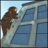 Do porcupines climb buildings?