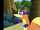 IMG 7738.PNG