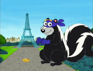 skunk,