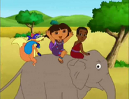 We're going on a safari,