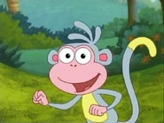 paddling across Snake River.