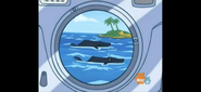 Are these the animals in trouble? NO! Those are humpback whales!