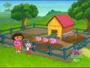 "Yeah, there's the piggies!"