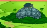 Turtle Rock as seen on the map.