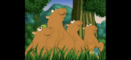 Capybaras
